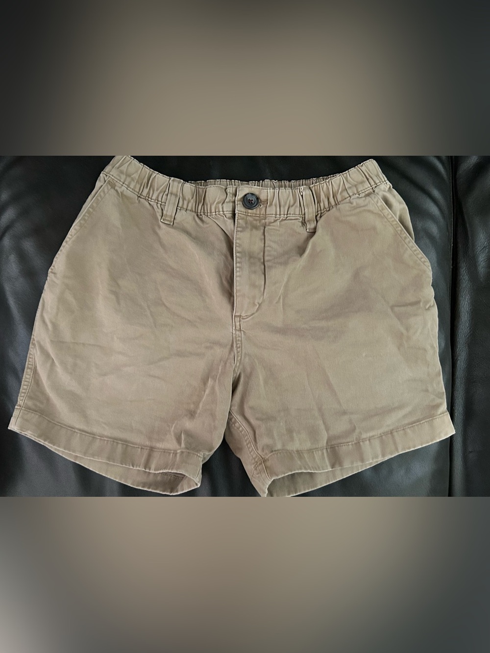 Men’s chubbies 5.5” inseam shorts Size Small